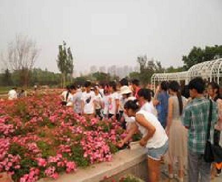 clip_image002