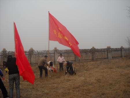 美化草坪
