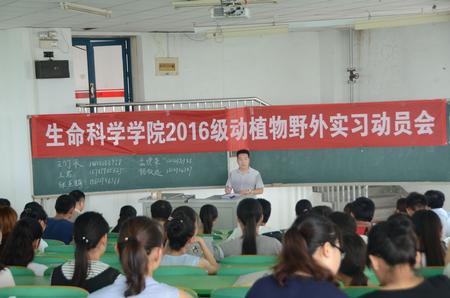 QQ图片20170706130334